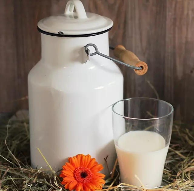Mlecni produkti iz kravjega mleka Pomurje 5.PNG