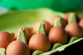 prodaja ekoloških jajc