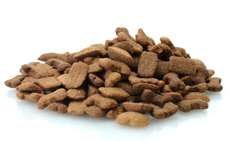 Močna krmila 