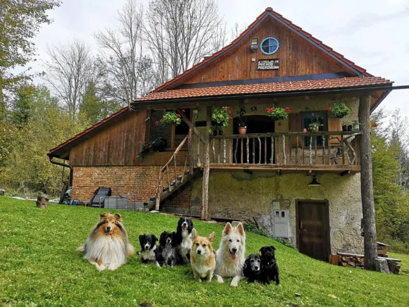 Affordable cottage rental Kočevje