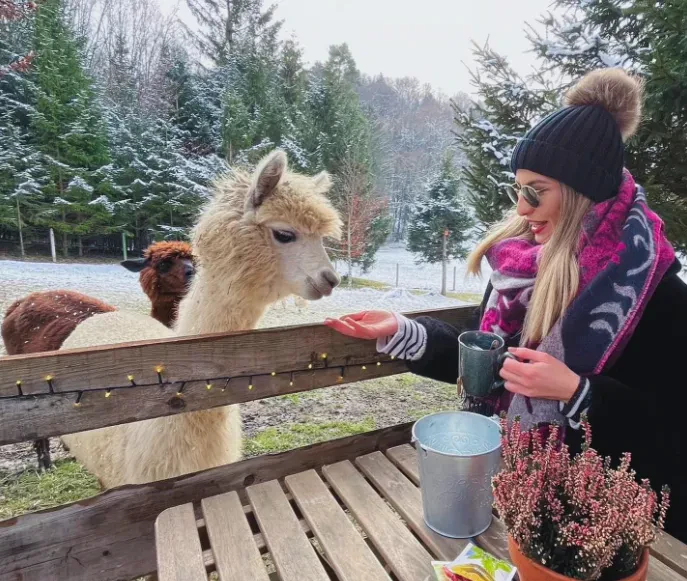 Obisk kmetije z alpakami Slovenija