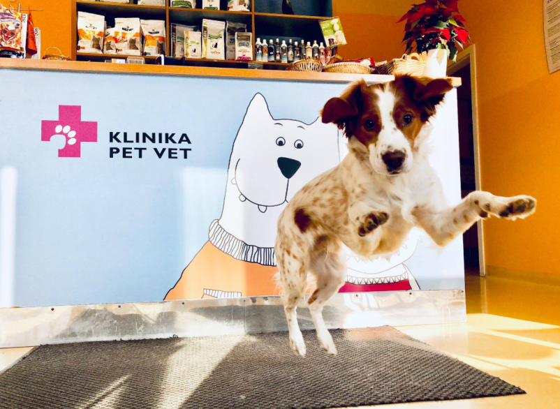 Ugodna ambulanta za male živali Ljubljana Šiška