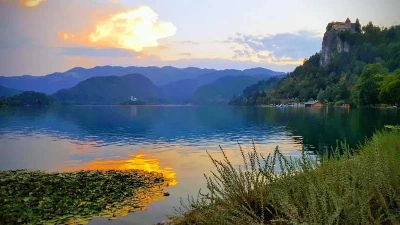 Apartma z balkonom Bled