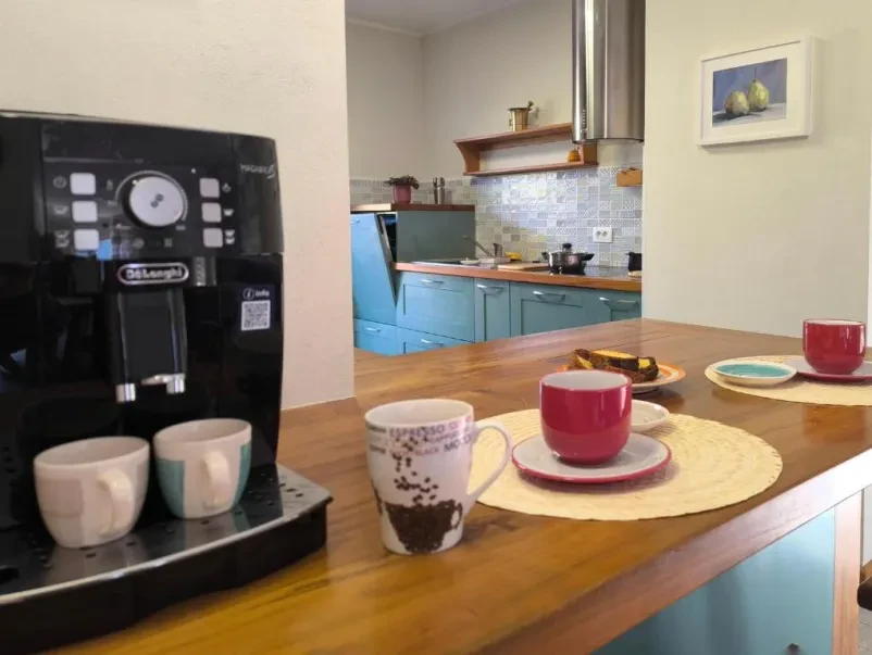 Rent an apartment in Branik