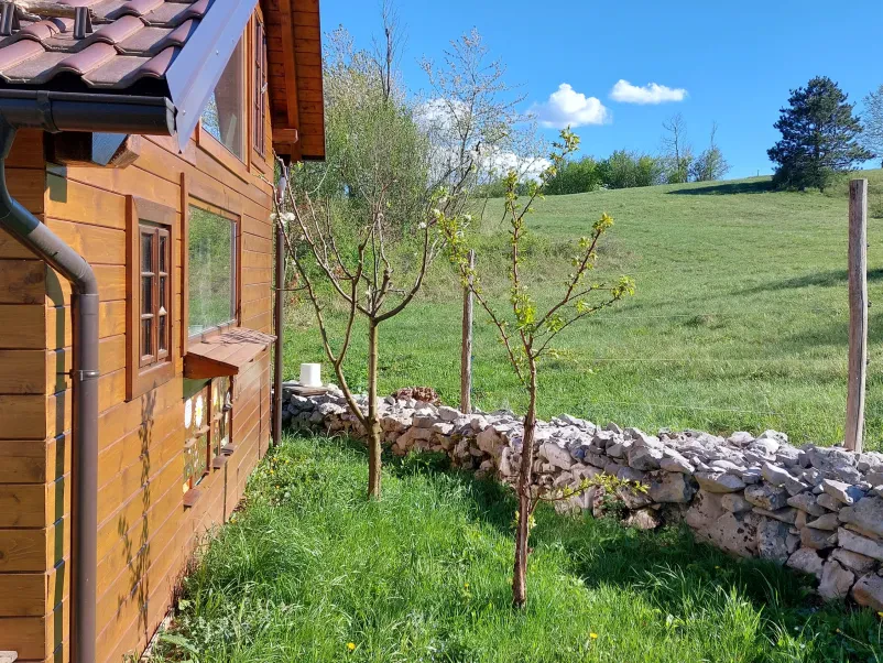 Apiterapija v ekološkem čebelnjaku Pivka