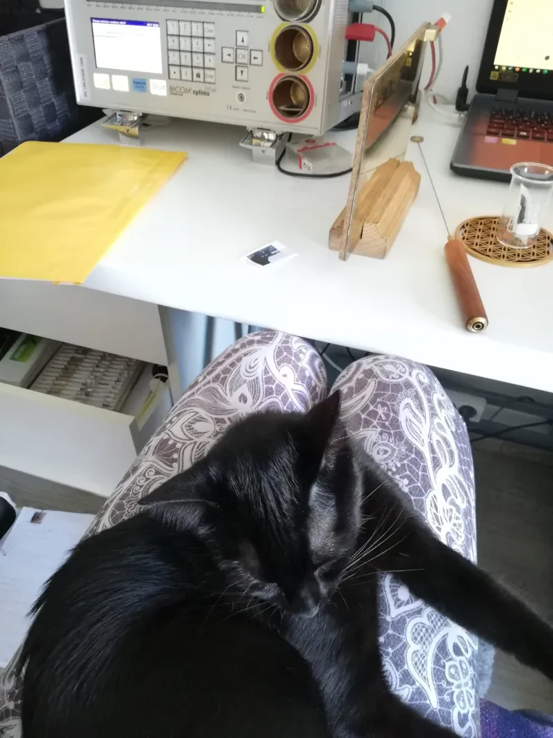 Celostna bioresonanca za male živali v Ljubljani