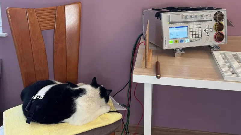 Bioresonančna terapija za živali