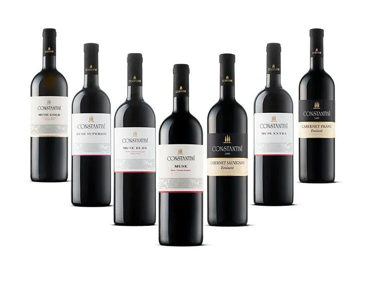 Kvalitetna buteljčna vina v Sloveniji