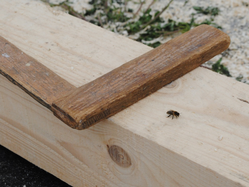 Čebelarske aktivnosti Hoče - Slivnica