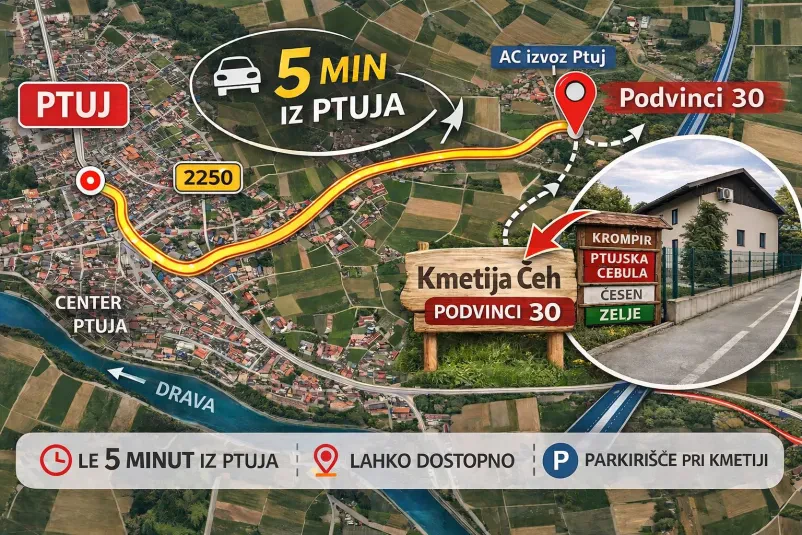 Kvaliteten česen v prahu in mleta čebula Ptuj