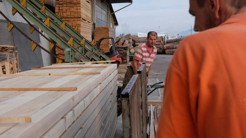 High-quality sawn timber Slovenia