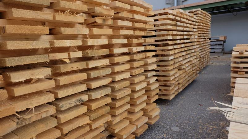 Deciduous and coniferous wood materials Slovenia