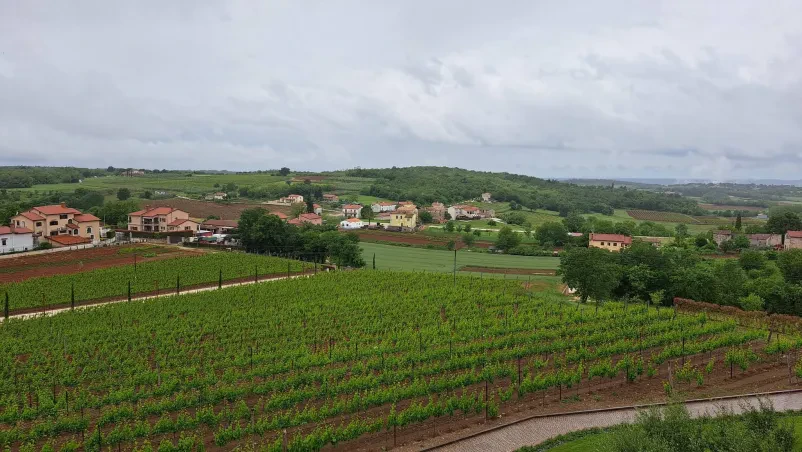 Degustacija vina Mirna Peč