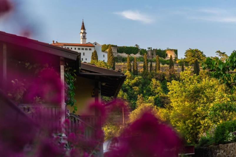 Degustacija vin z nastanitvijo Vipavska dolina