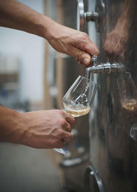 Organizacija degustacij in nočitev Vipava