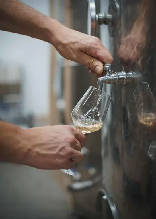 Organizacija degustacij in nočitev Vipava