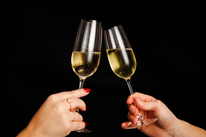 Degustacija vina za skupine Črnomelj, Bela krajina