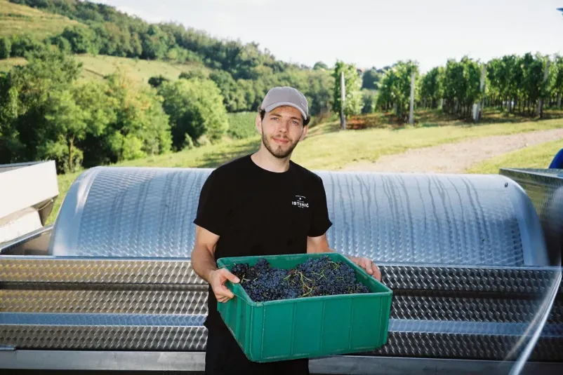 Pridelava vrhunskih vin Bizeljsko, Dolenjska
