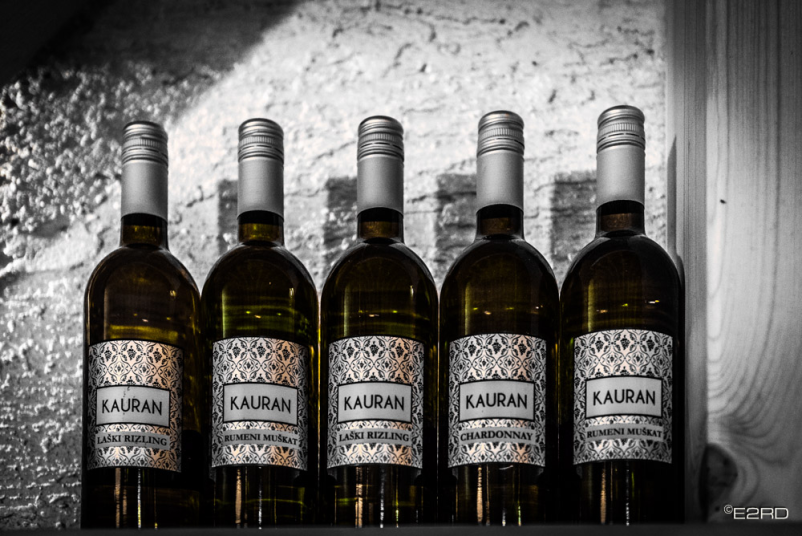 Ugodna degustacija vin Štajerska 