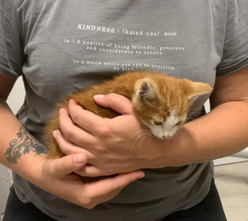 Veterinar Osrednja Slovenija