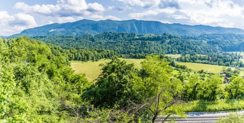Dober apartma Radovljica, Gorenjska