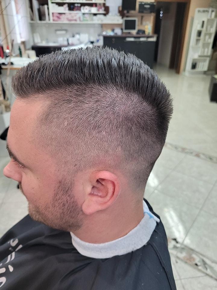 Moško striženje las Gornja Radgona