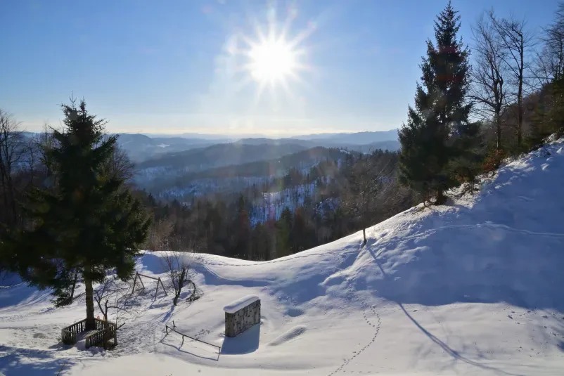 Planinska koča z dobro hrano - Hleviška planina