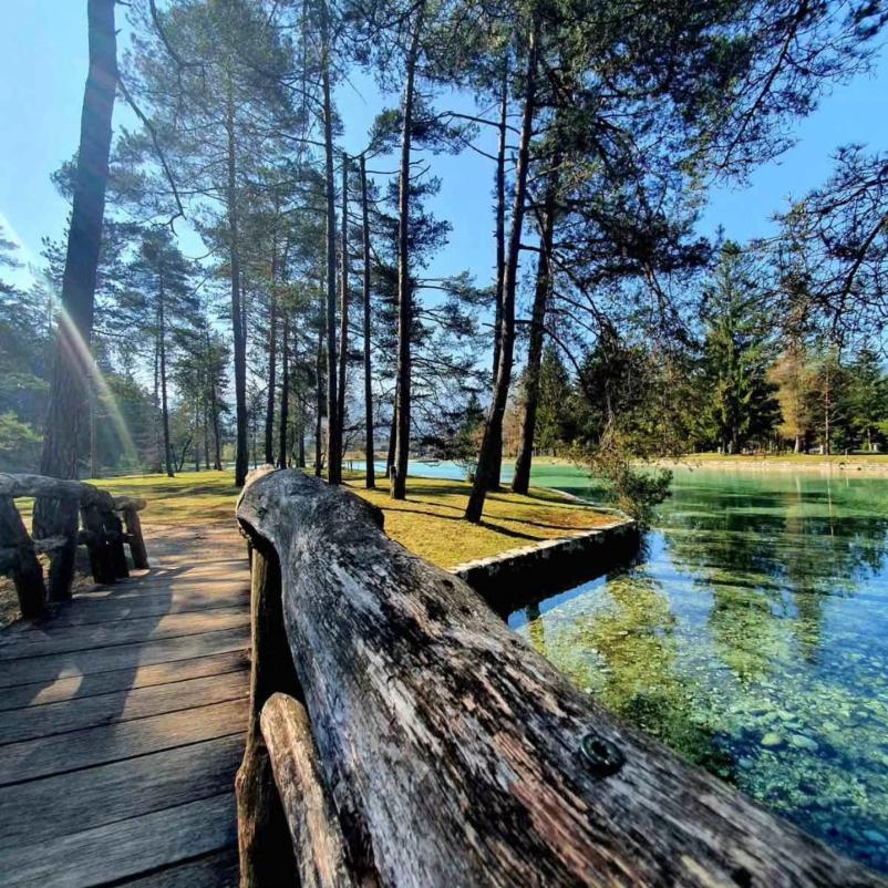 Prostor za druženja in posebne dogodke Gorenjska