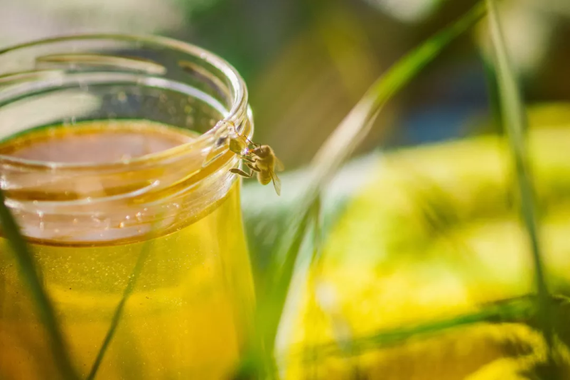 Slovenski med in izdelki iz medu Dolenjska