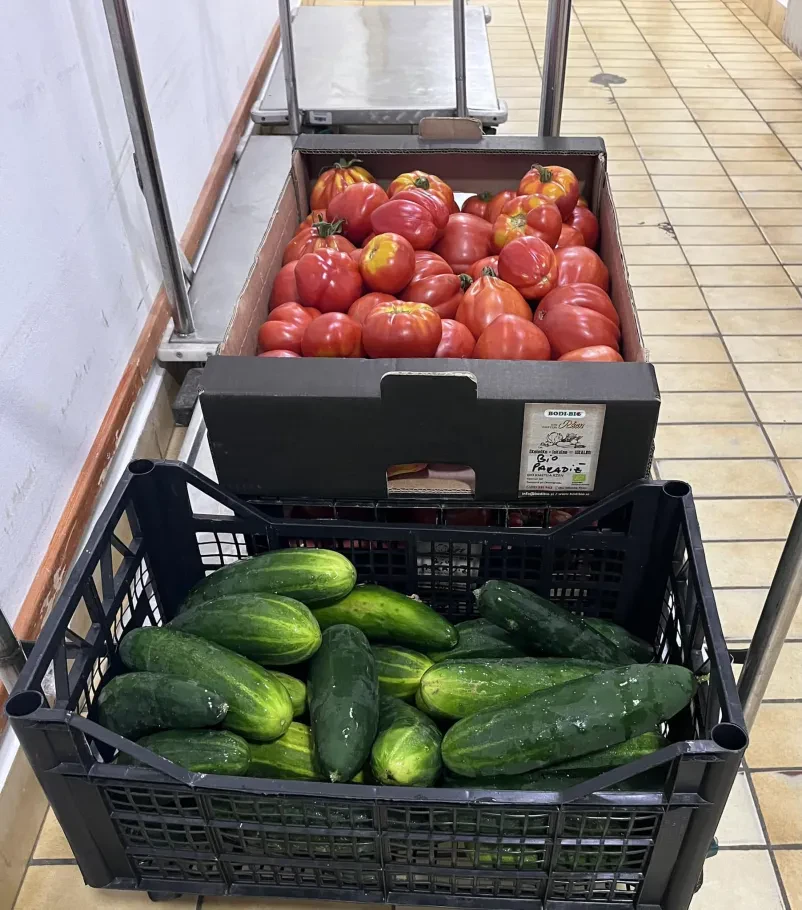 Kako poteka organizirana dostava sadja in zelenjave za ustanove