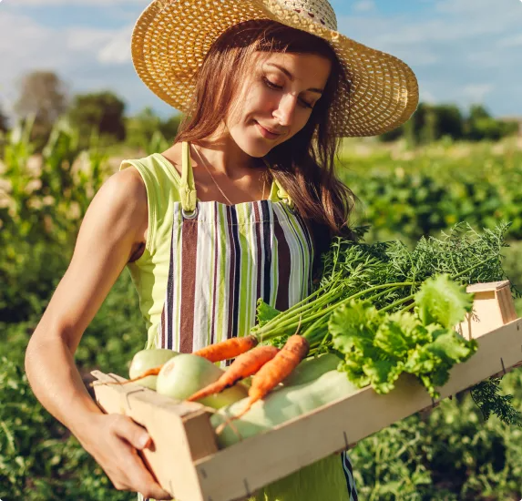 Dostava paketov svežega sadja in zelenjave v Ljubljani