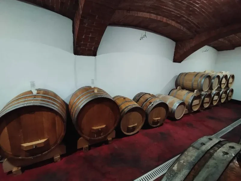 Steklenica vrhunske Modre Frankinje Dostava vrhunskih belih in rdečih vin po Sloveniji