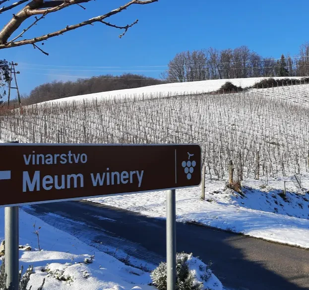 Sveže belo vino Chardonnay Dostava belega in rdečega butičnega vina Slovenija
