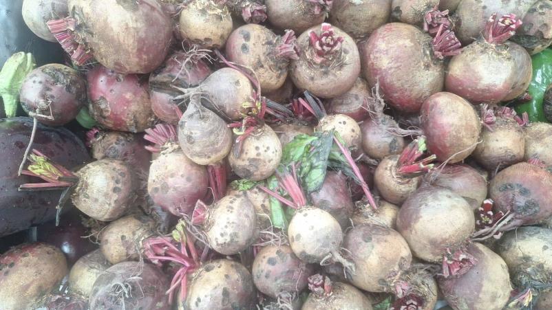 Eko kišta in dostava zelenjave Primorska