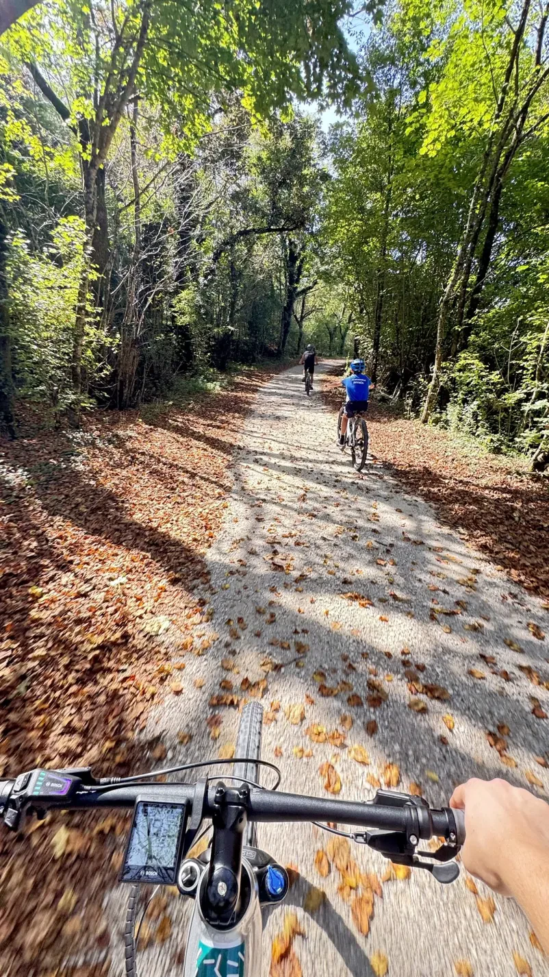 Electric bike rental and service in the Karst