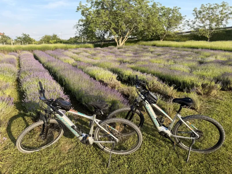 E-bikes Karst