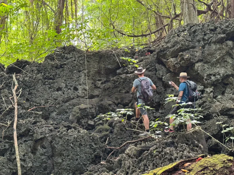 Študij geologije