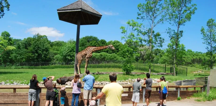 Ljubljana Zoo - always a good idea