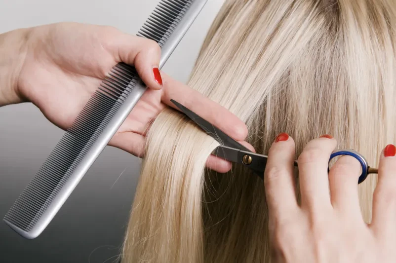 Dober fizerski salon Maribor, okolica