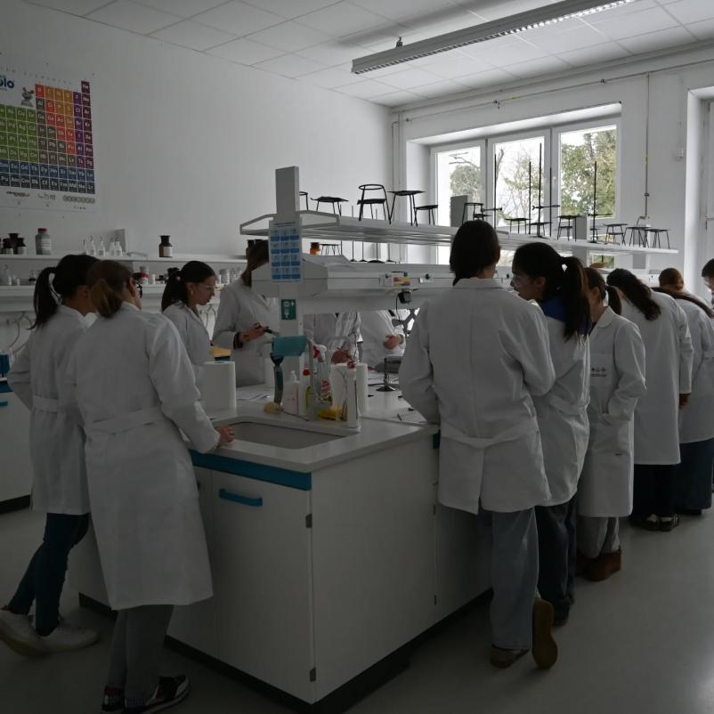 Gimnazija in srednja šola za kemijo in farmacijo Ruše, Podravska