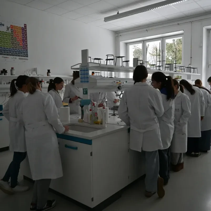 Gimnazija in srednja šola za kemijo in farmacijo Ruše, Podravska