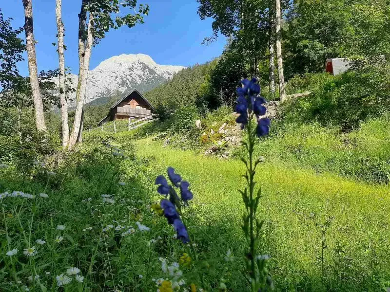 Book Glamping and Camping Near Jezersko, Bled