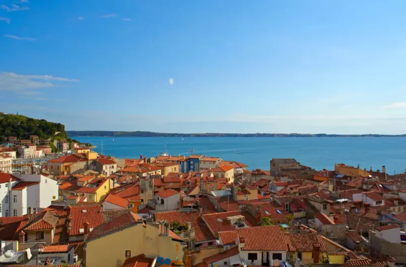 Good fish restaurant Piran