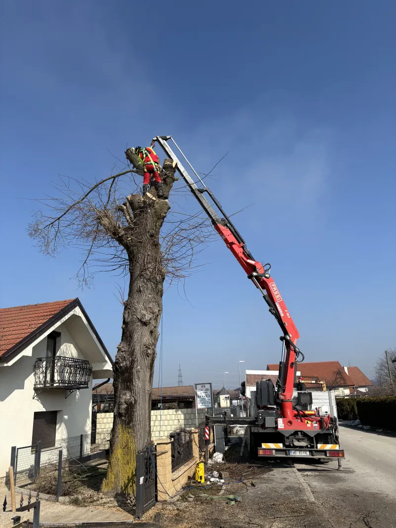 Urejanje gozdnih površin in poti