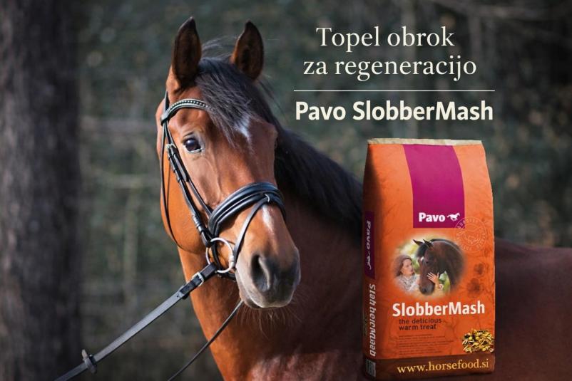 Hrana za konje PAVO Polzela, Celje