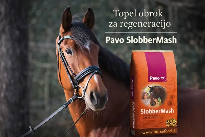 Hrana za konje PAVO Polzela, Celje