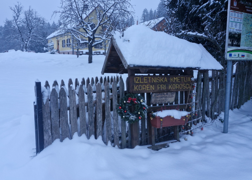 Izlet na kmetijo pri Brestanici