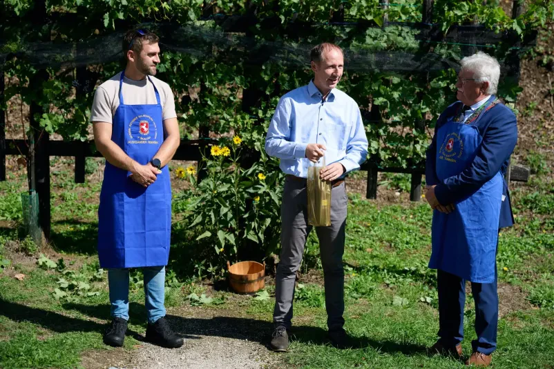 Člani društva vinogradnikov na strokovni ekskurziji v vinogradu na Štajerskem.