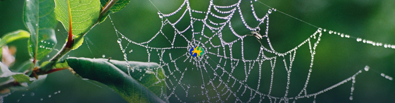 Optimizacija energetske učinkovitosti stavb v Sloveniji