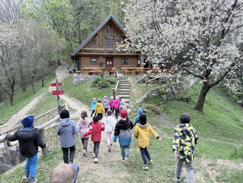 Prilagojeni programi za otroke Celje